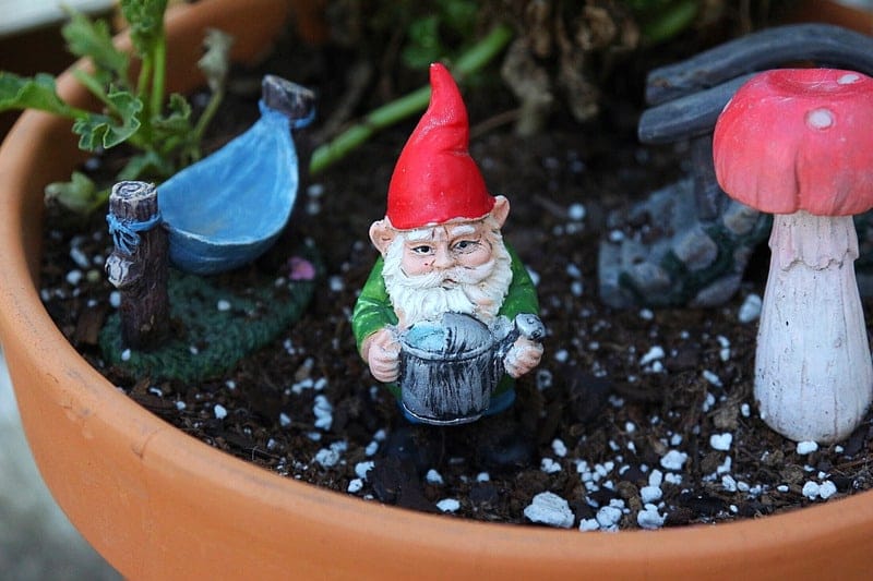 Gnome Themed Fairy Gardens