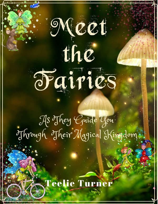 Meet The Fairies