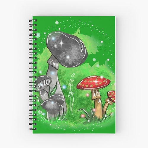 tivona fairy notebook
